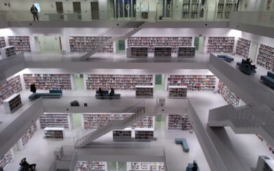 Zwischen Vision und Irrtum